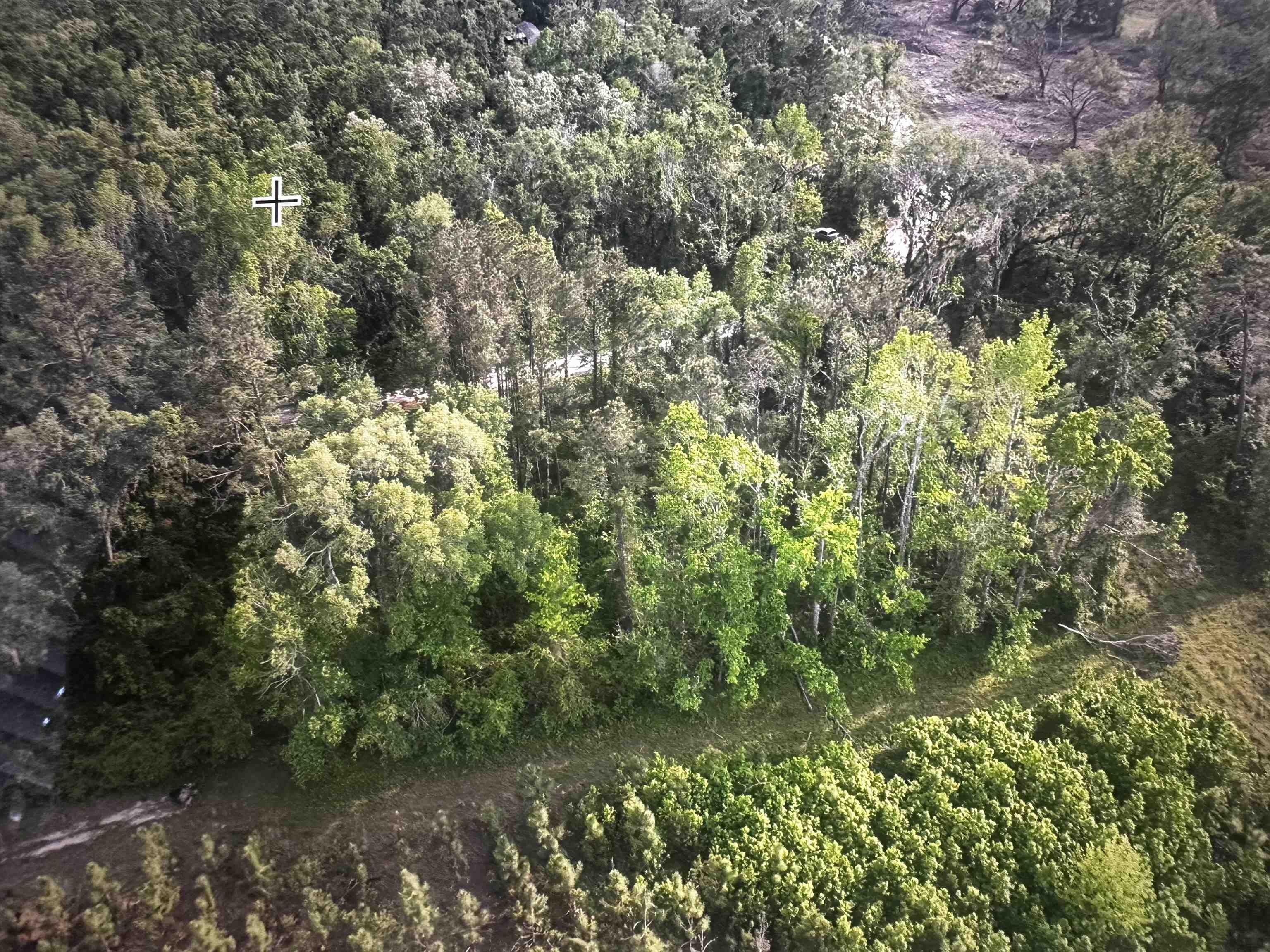 0 Northeast Rue Drive Pinetta, FL 32350 - Photo 3 of 19