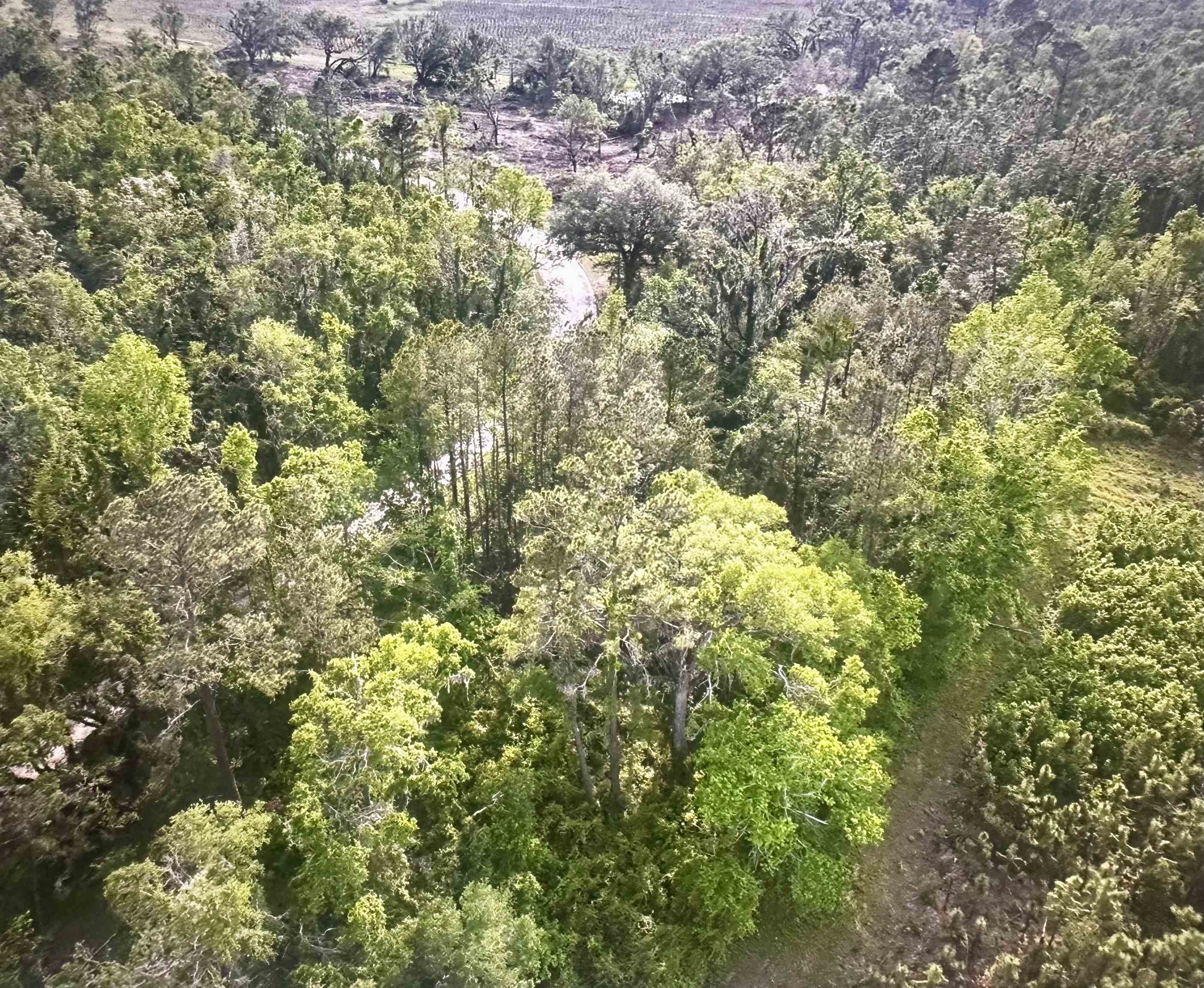 0 Northeast Rue Drive Pinetta, FL 32350 - Photo 4 of 19