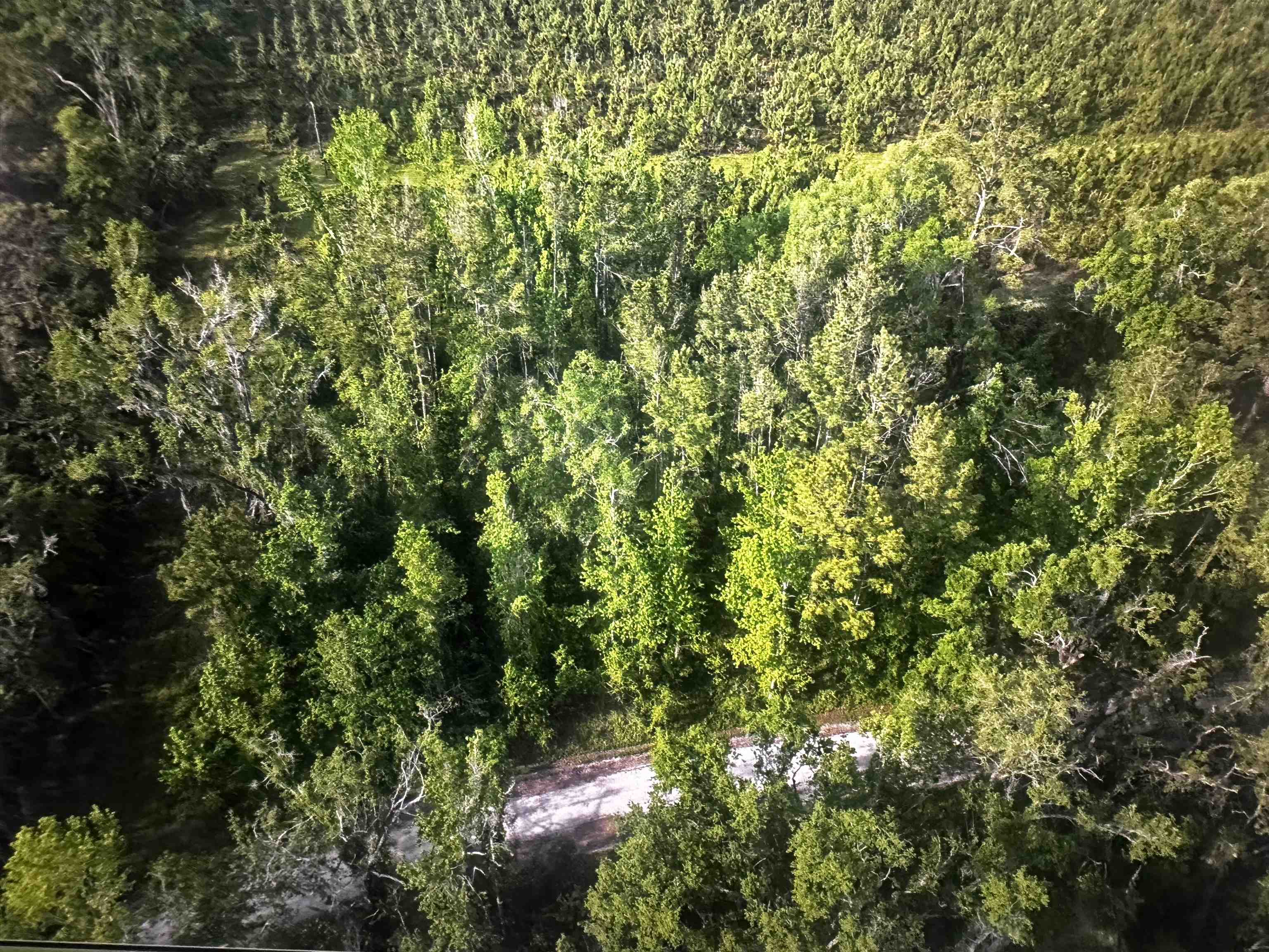 0 Northeast Rue Drive Pinetta, FL 32350 - Photo 9 of 19