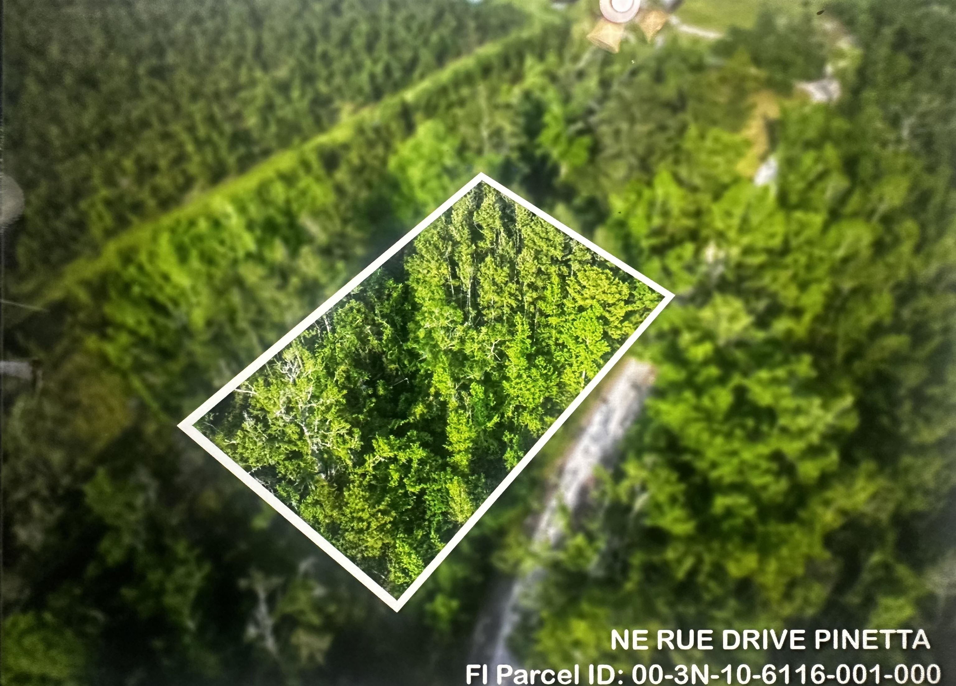 0 Northeast Rue Drive Pinetta, FL 32350 - Photo 10 of 19