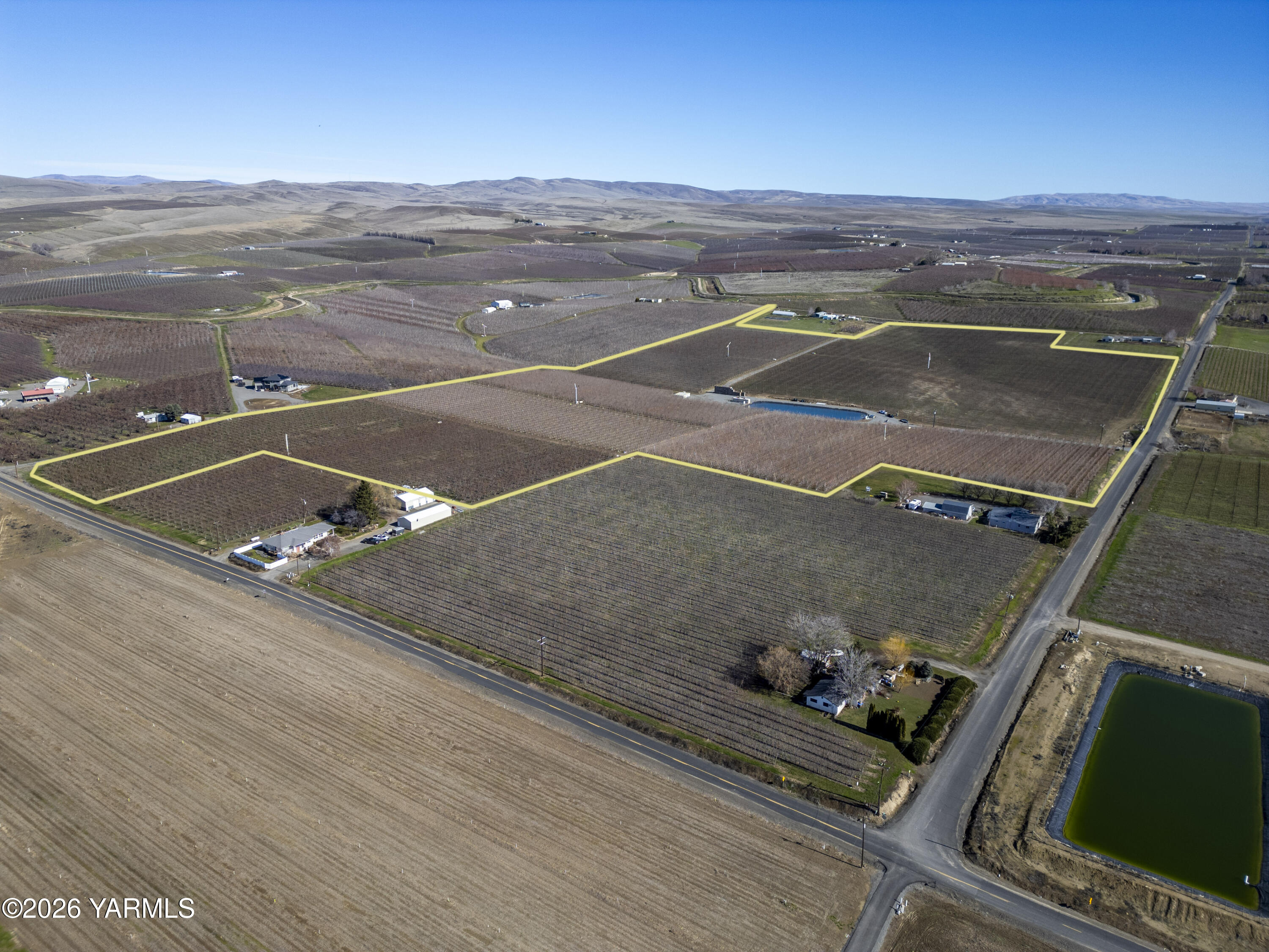 120 Barbee Road Zillah, WA 98953 - Photo 16 of 25 Lamb 9