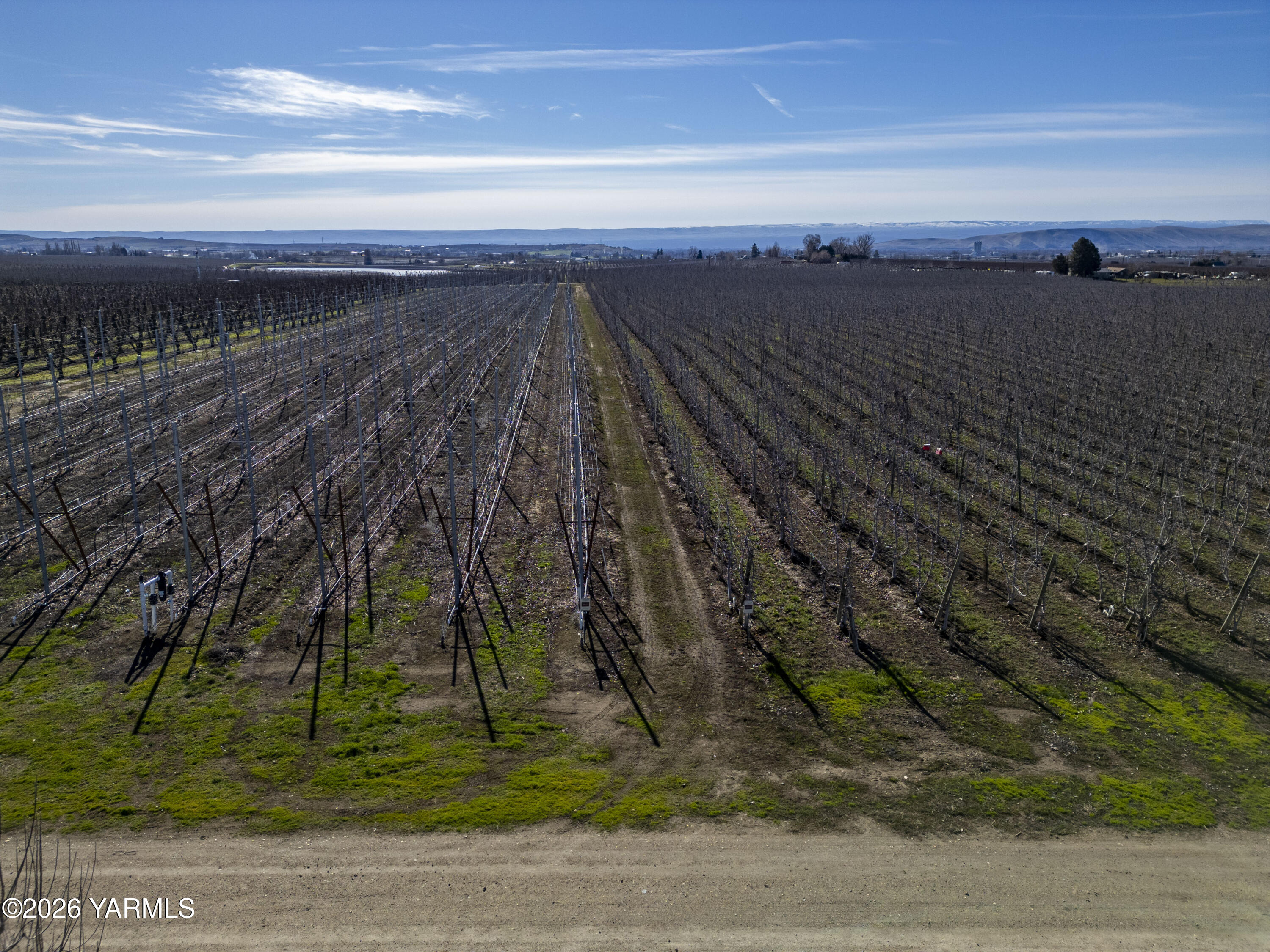 120 Barbee Road Zillah, WA 98953 - Photo 17 of 25 Mirkwood 16