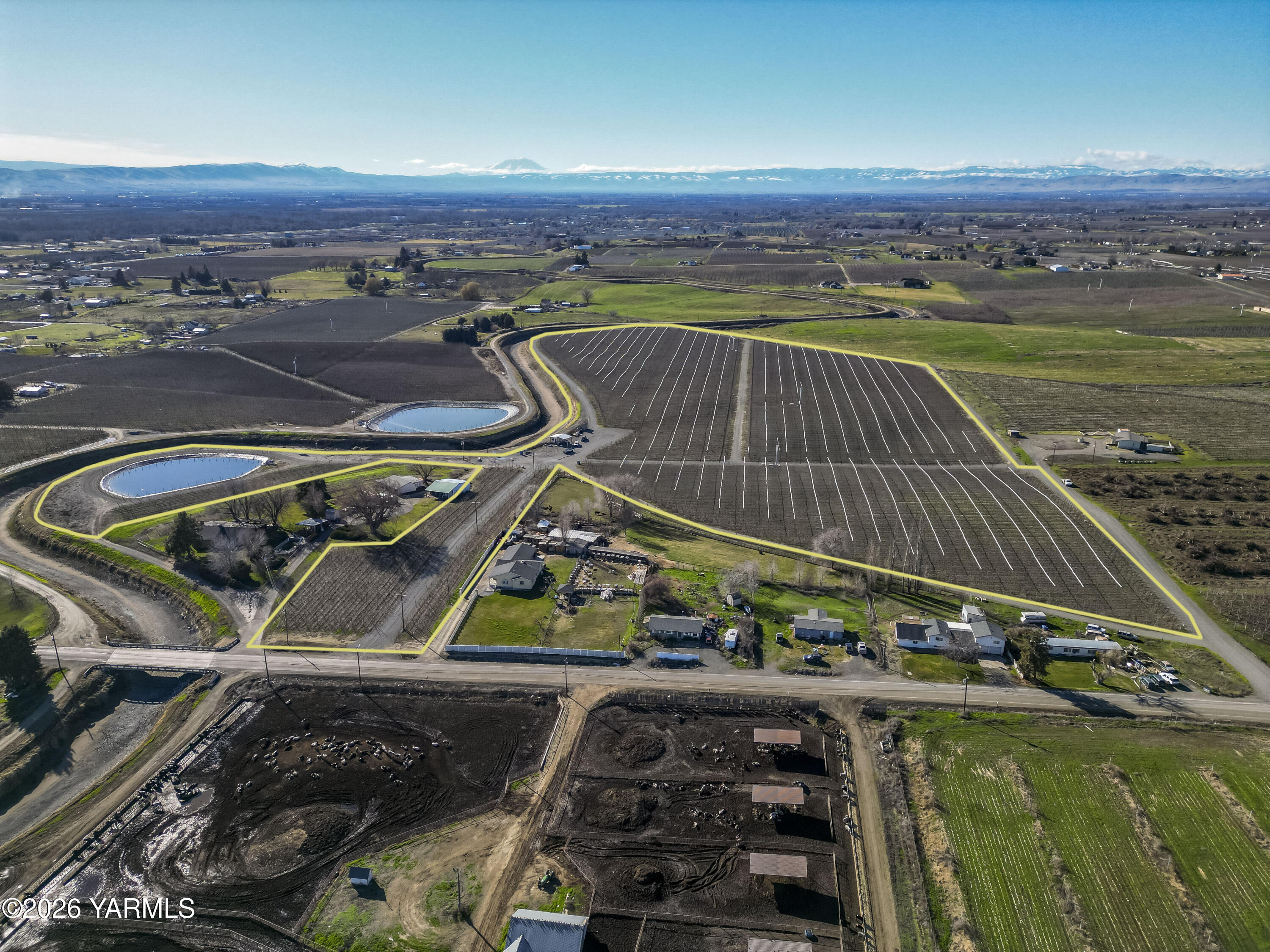 120 Barbee Road Zillah, WA 98953 - Photo 5 of 25 Cheyne North 8