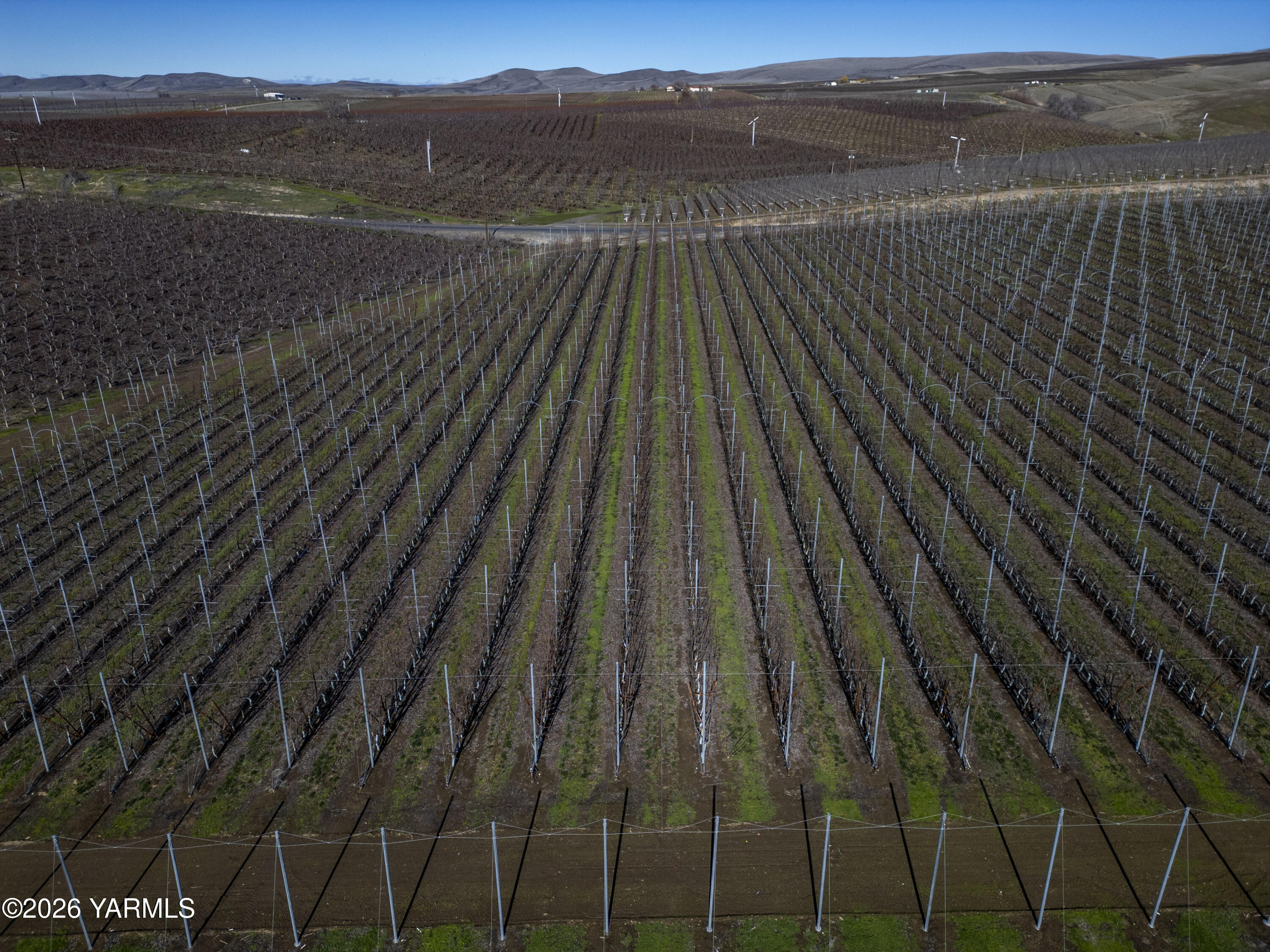 120 Barbee Road Zillah, WA 98953 - Photo 7 of 25 Ditchbank 7