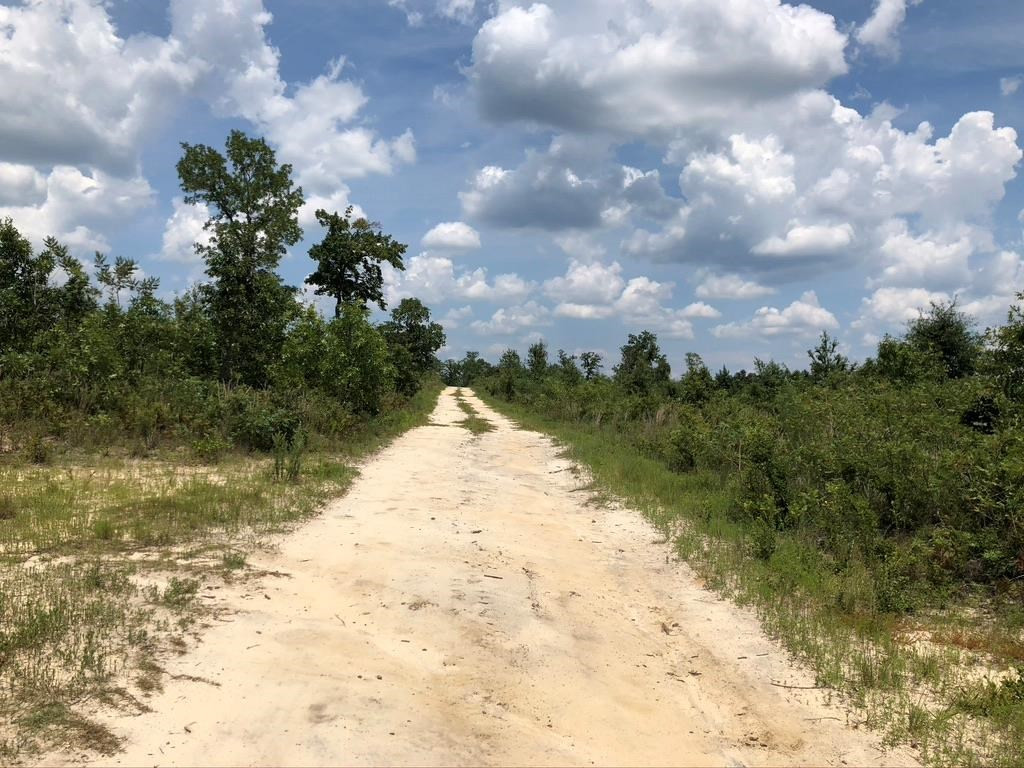 Lot 3 Eagle Road North Augusta, SC 29860 - Photo 2 of 3
