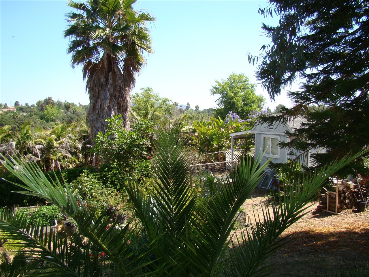 398 Mercedes Road Fallbrook, CA 92028 - Photo 3 of 13 Gallery Image 3
