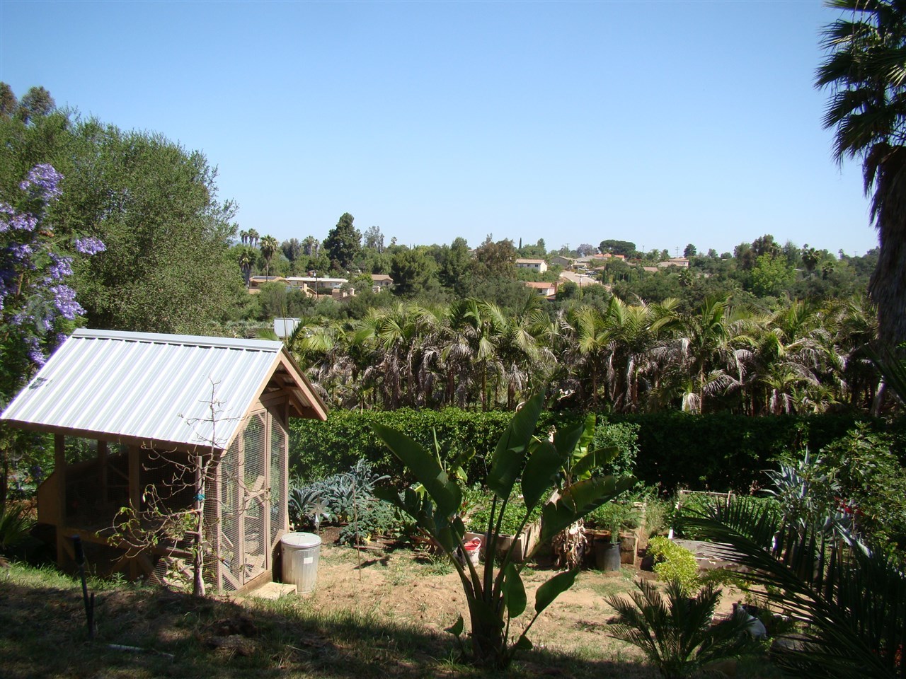 398 Mercedes Road Fallbrook, CA 92028 - Photo 4 of 13 Gallery Image 4