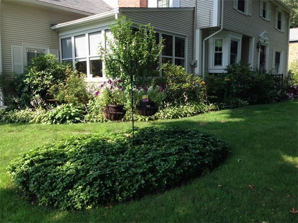 8 Redstone Drive Springfield, MA 01118 - Photo 5 of 24