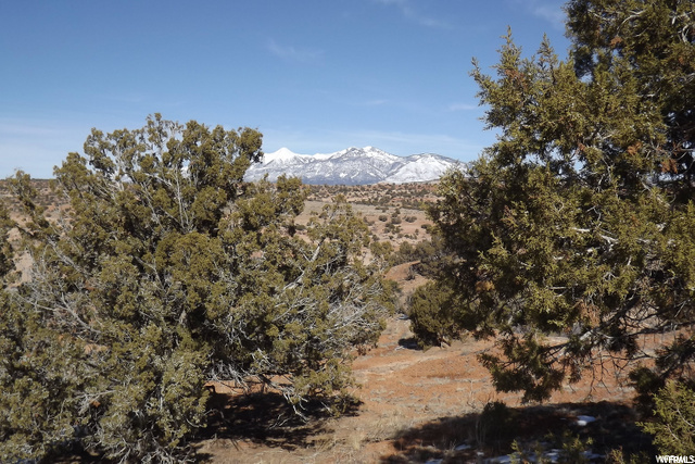 0 Looking Glass Road Monticello, UT 84535 - Photo 21 of 31