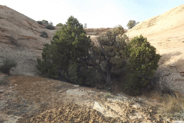 0 Looking Glass Road Monticello, UT 84535 - Photo 24 of 31
