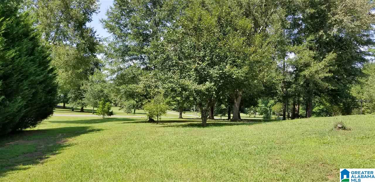 221 Friendship Drive Springville, AL 35146 - Photo 28 of 29