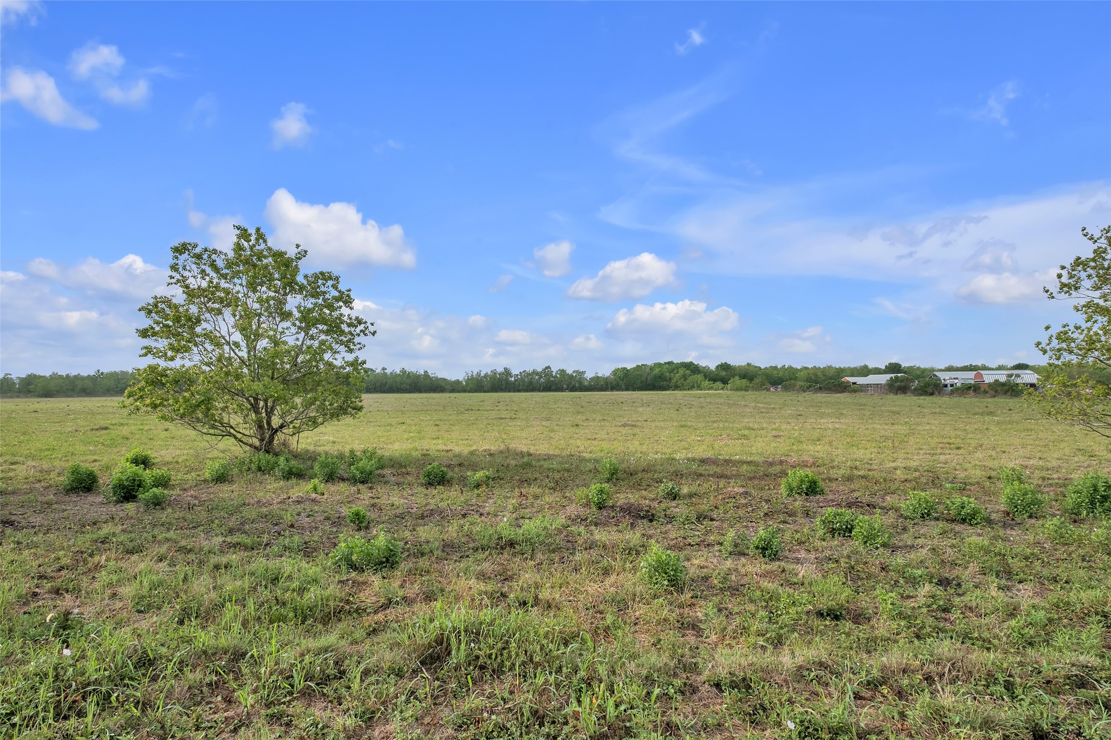 0 County Road 63 Rosharon, TX 77583 - Photo 2 of 16