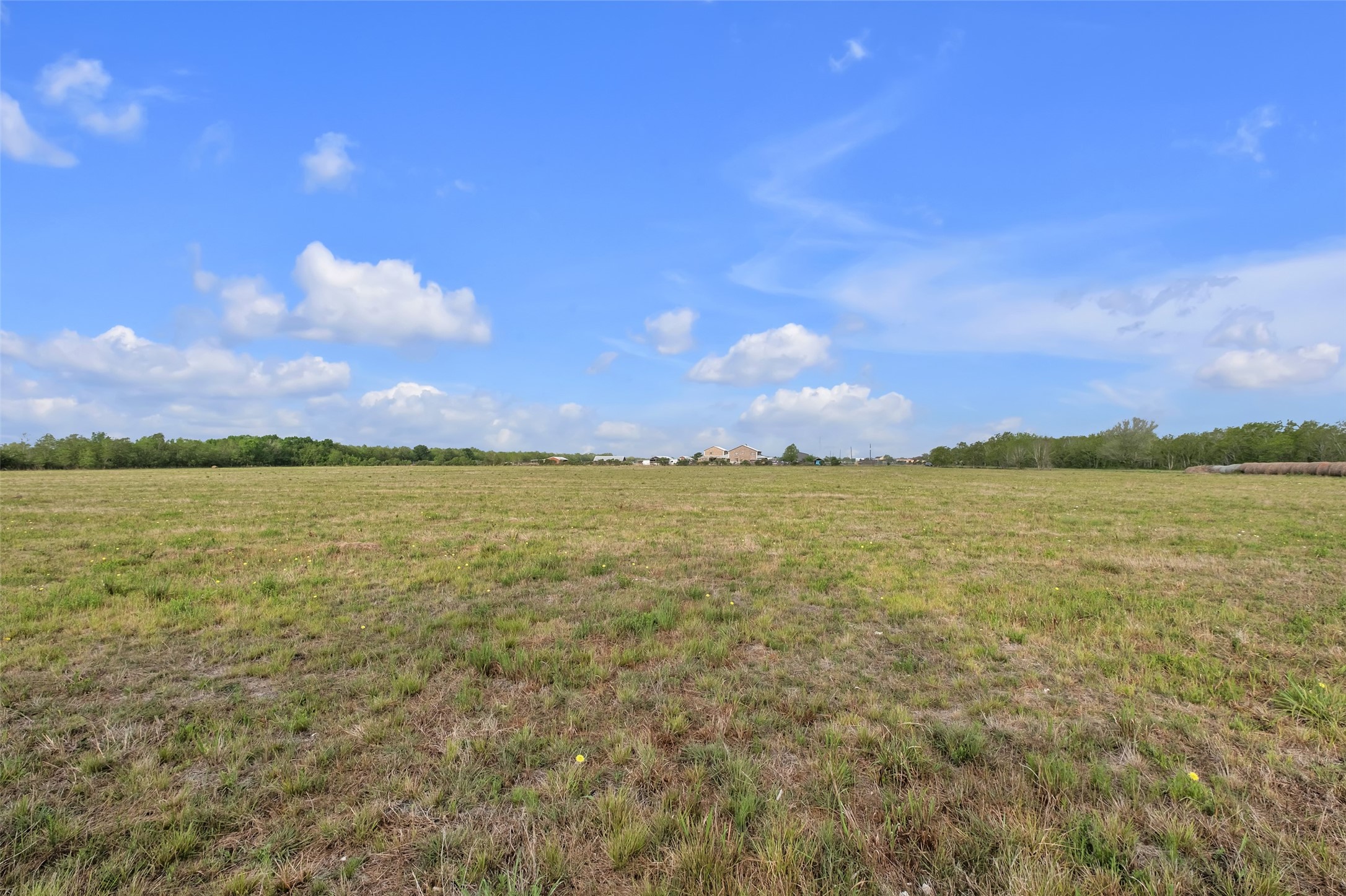 0 County Road 63 Rosharon, TX 77583 - Photo 4 of 16