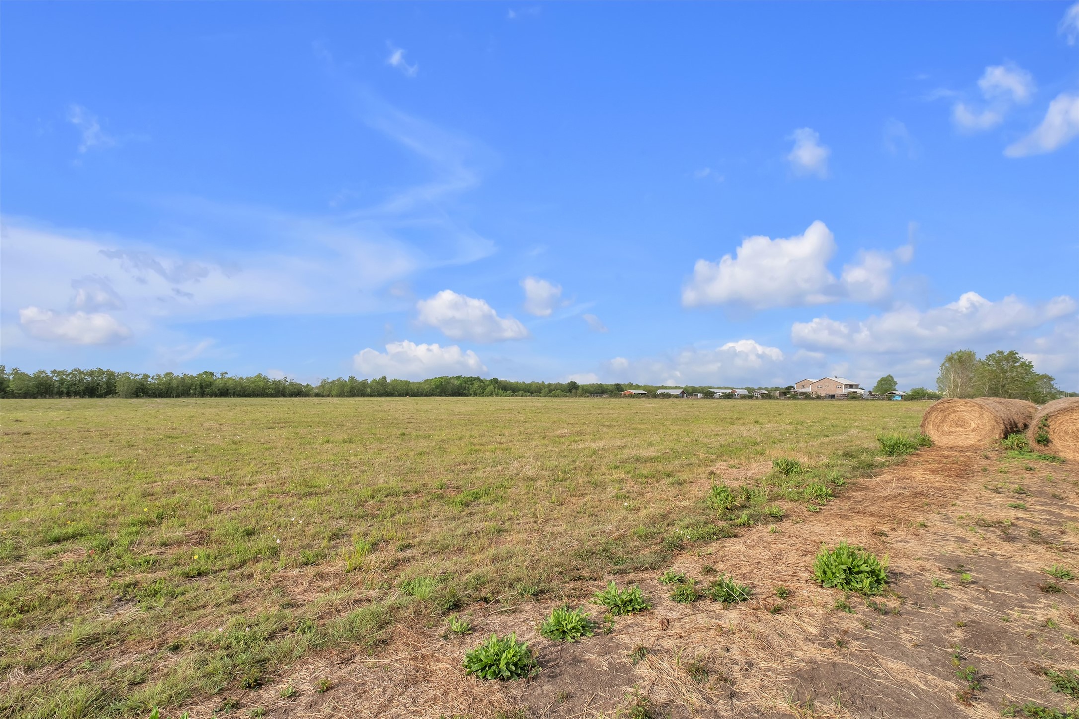 0 County Road 63 Rosharon, TX 77583 - Photo 5 of 16