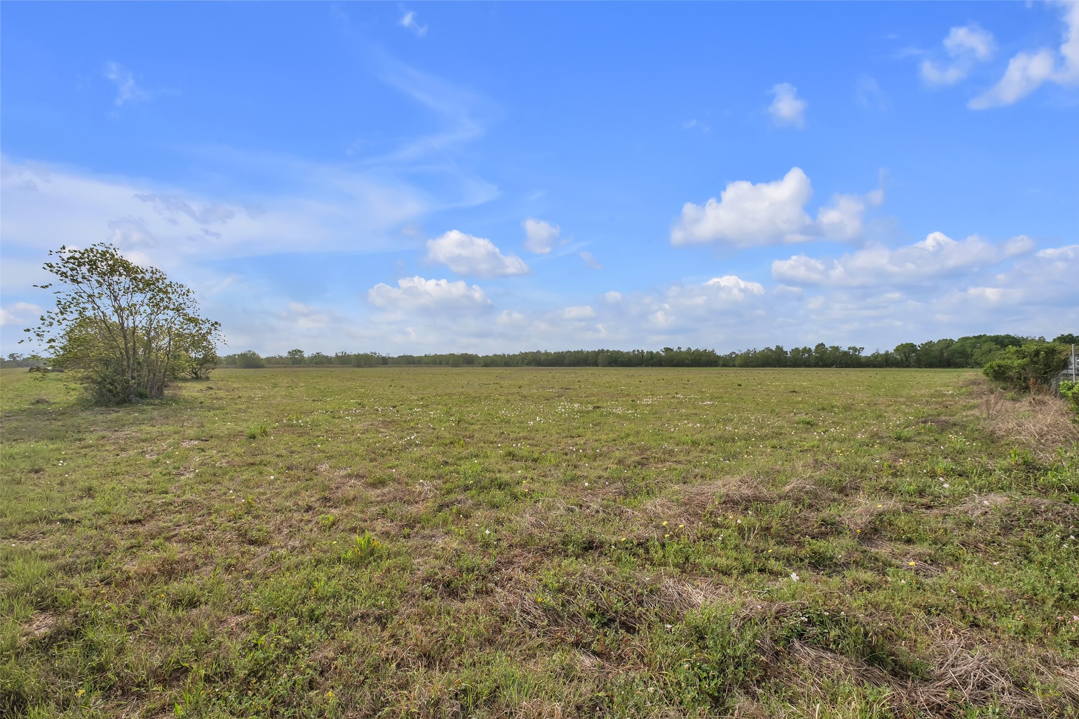 0 County Road 63 Rosharon, TX 77583 - Photo 6 of 16