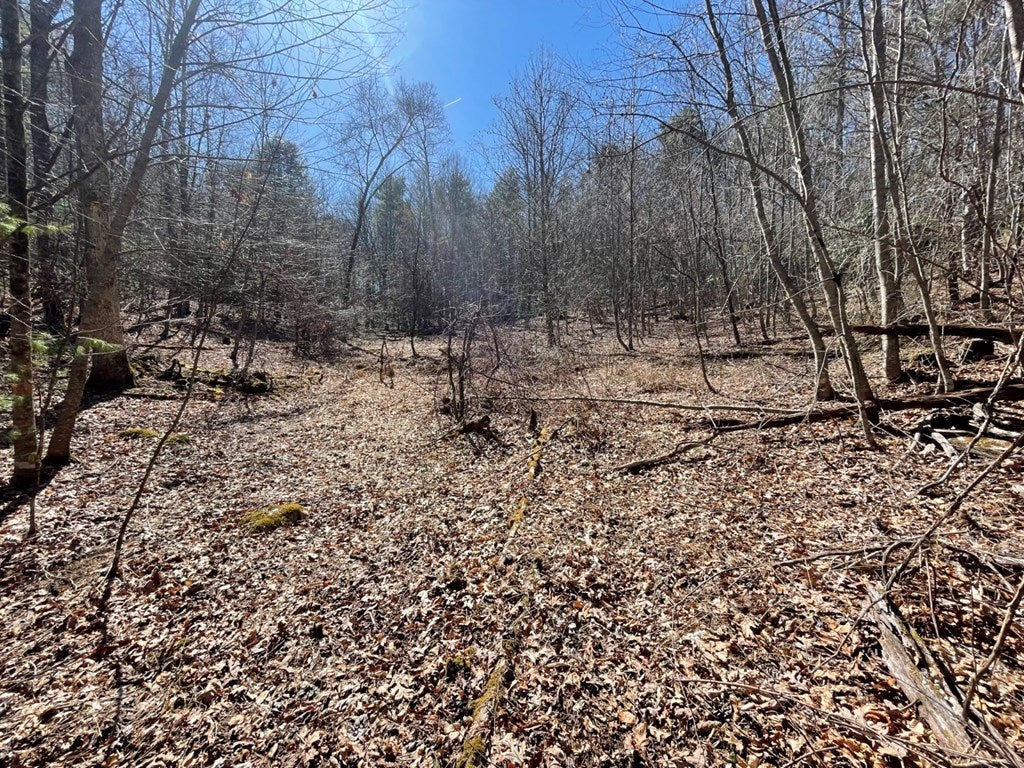 Tbd Chances Creek Road, Unit 4 Fancy Gap, VA 24328 - Photo 7 of 8 Gallery Image 7