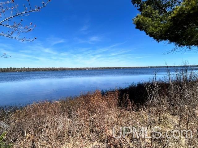 61 Little Rice Lk Road Lake Linden, MI 49945 - Photo 18 of 29