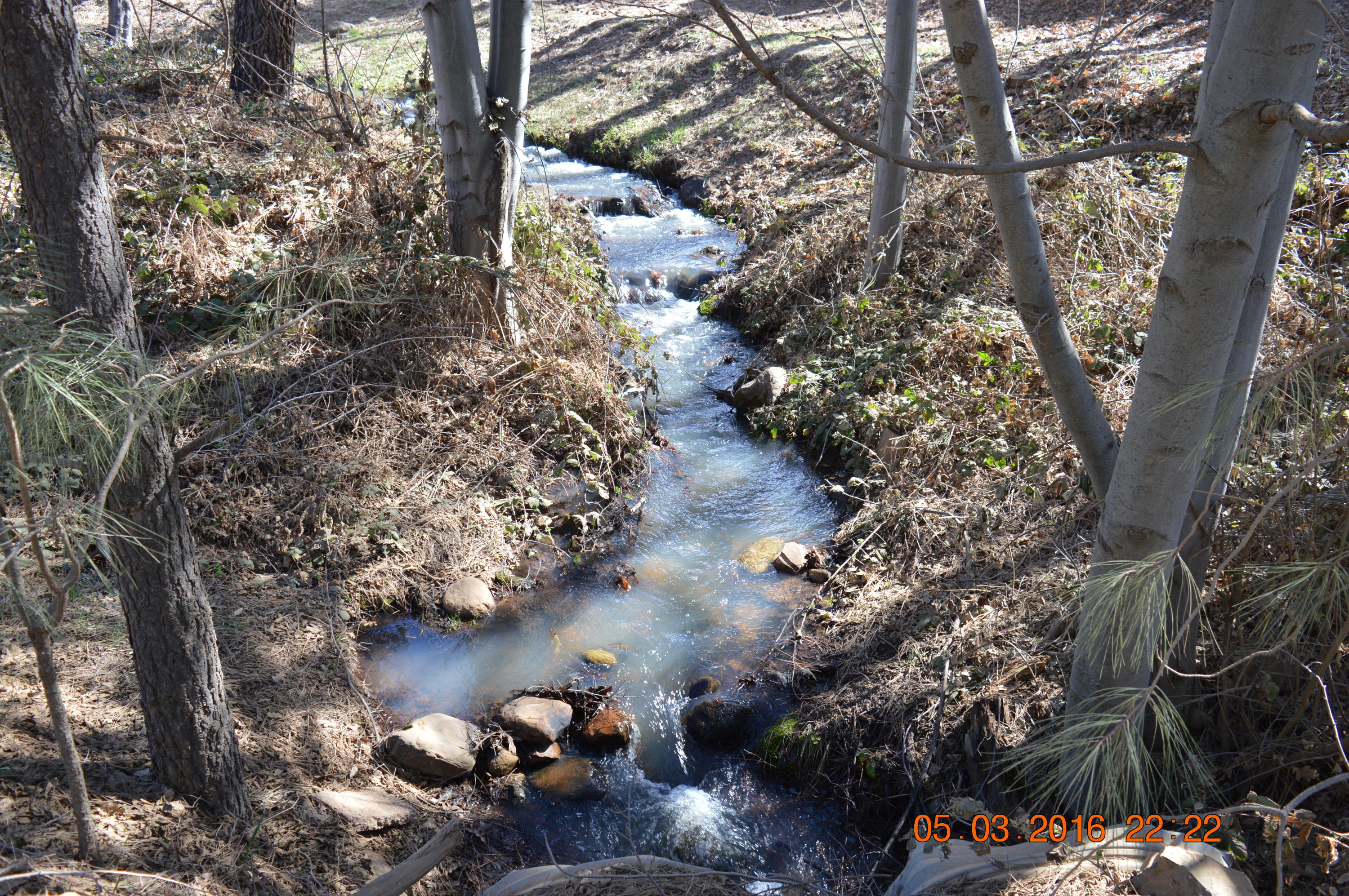 Lot 19 North Myrtle Point Trail Payson, AZ 85541 - Photo 10 of 10