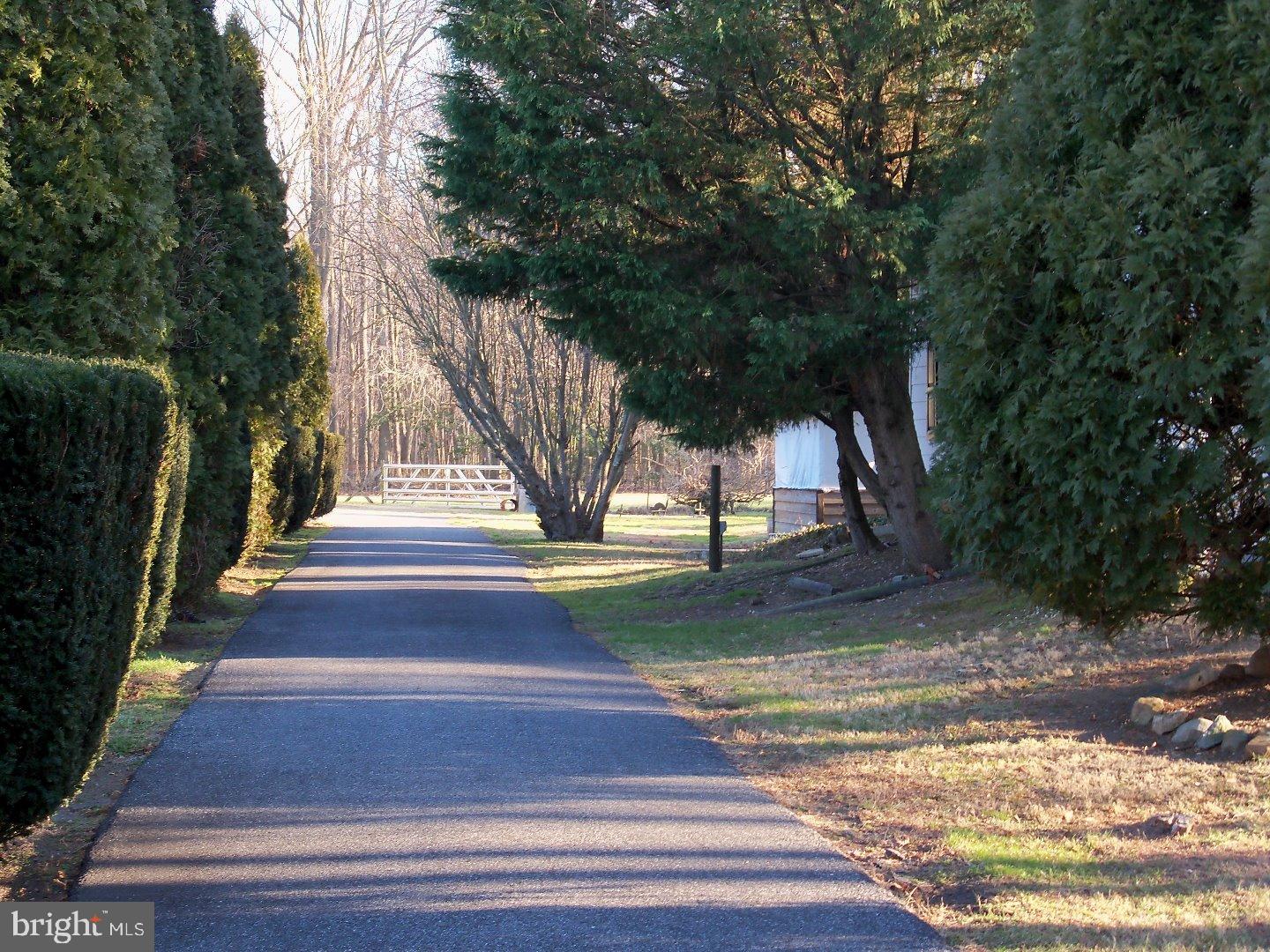 968 Dyke Branch Road Dover, DE 19901 - Photo 3 of 25 Gallery Image 3