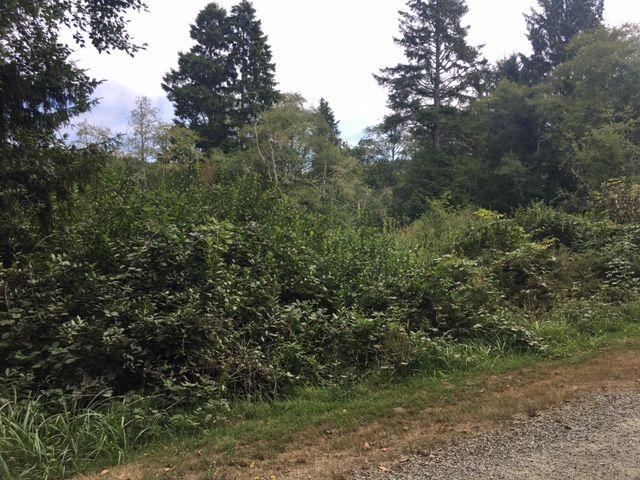 0 Th Rockaway Beach, OR 97136 - Photo 4 of 10 4