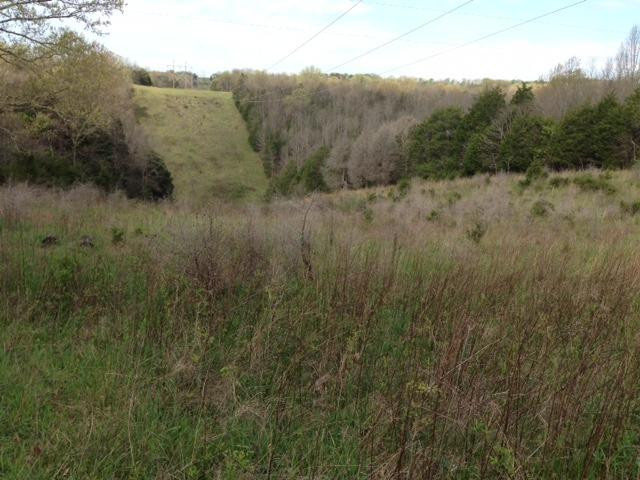 0 Chapel Road Mount Olivet, KY 41064 - Photo 2 of 13 Gallery Image 2