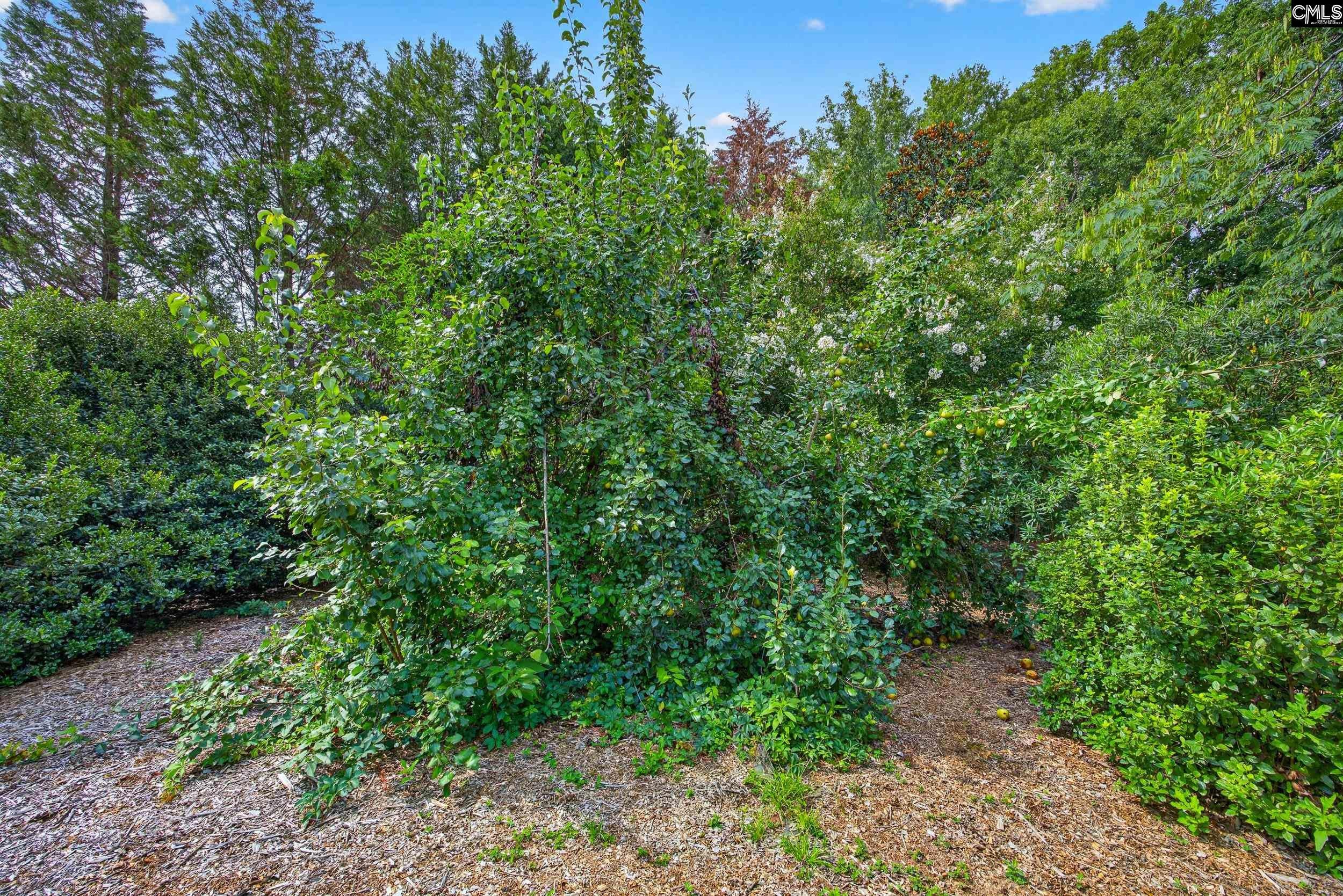 413 Wise Ferry Road Lexington, SC 29072 - Photo 49 of 61 Gallery Image 49