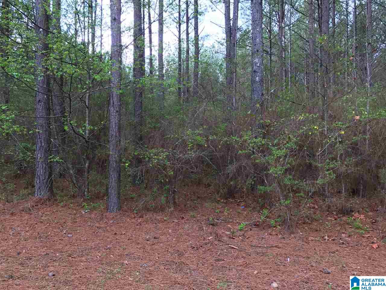 78 Pilgrims Path, Unit 19 Anniston, AL 36207 - Photo 9 of 35