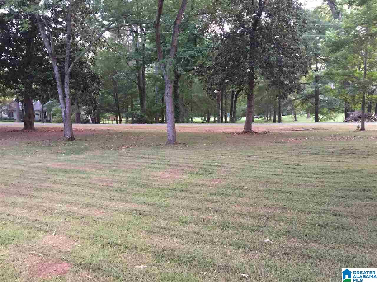 159 Chimney Rock Road Southwest Leeds, AL 35094 - Photo 17 of 17