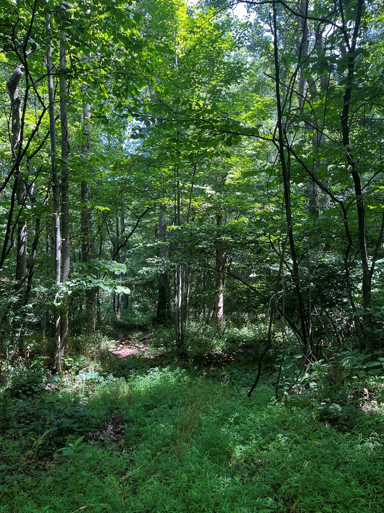0 Puppy Creek Farm Road, Unit 22 Stuart, VA 24171 - Photo 17 of 28 Gallery Image 17