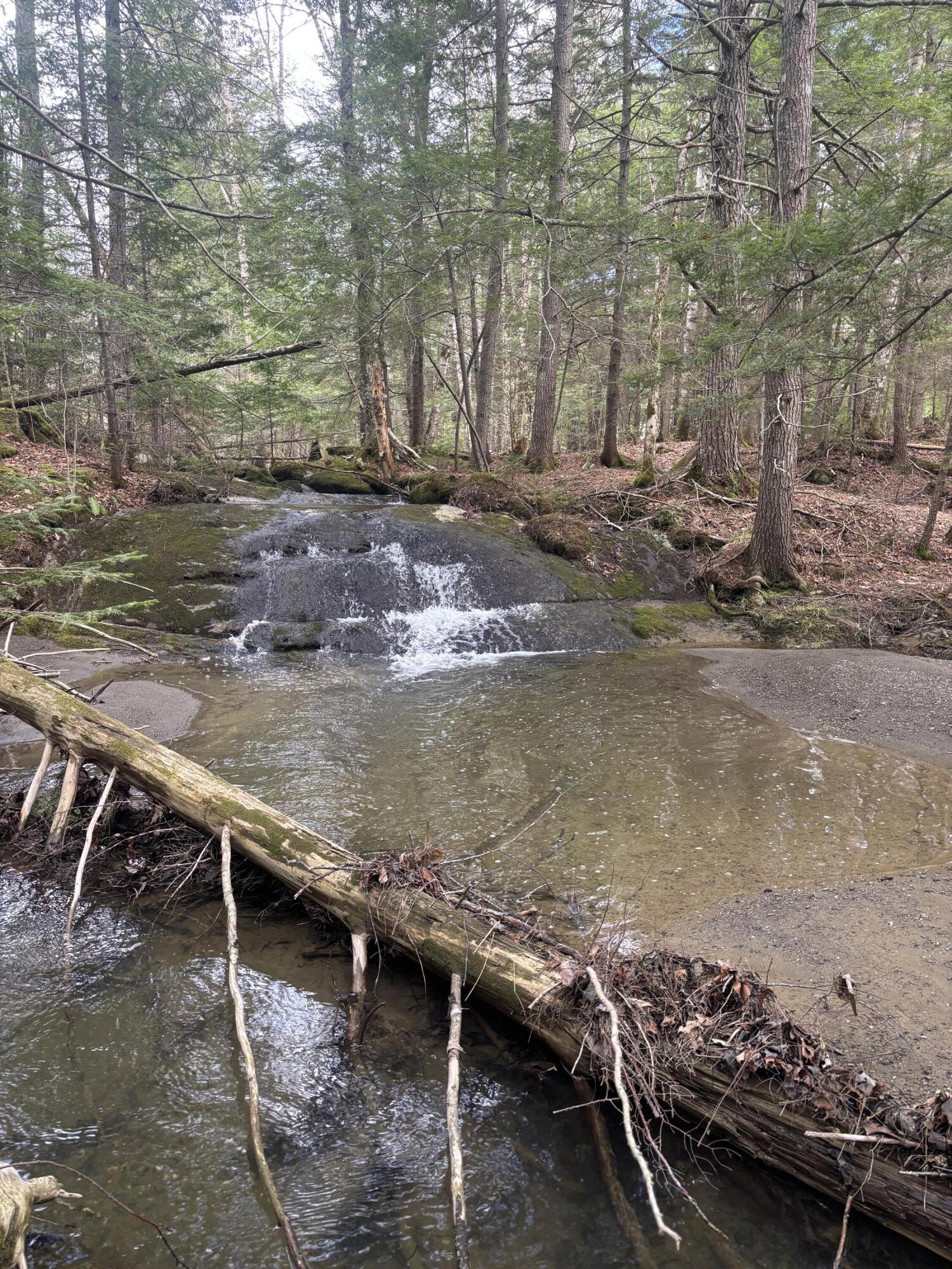 89 Wickett Farm Road Bucksport, ME 04416 - Photo 40 of 47 IMG_7604