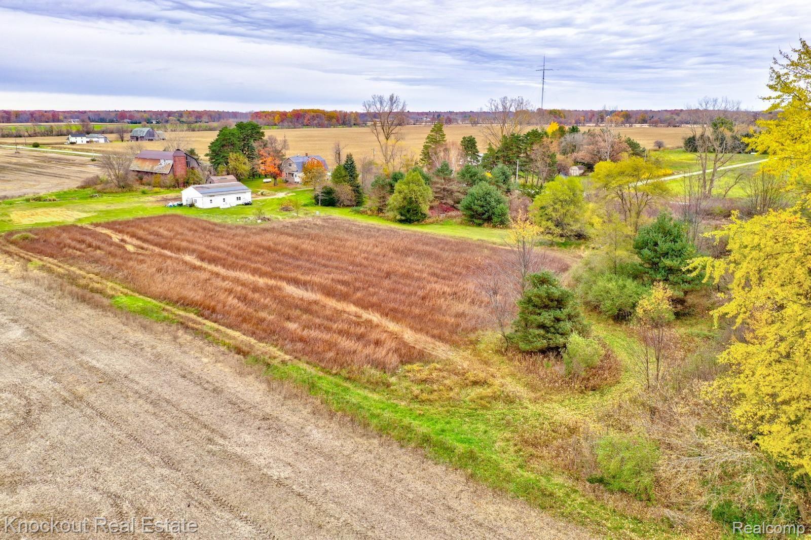 10870 South Dehmel Road Birch Run, MI 48415 - Photo 56 of 61 10780 Dehmel Rd Birch Run-56.jpg