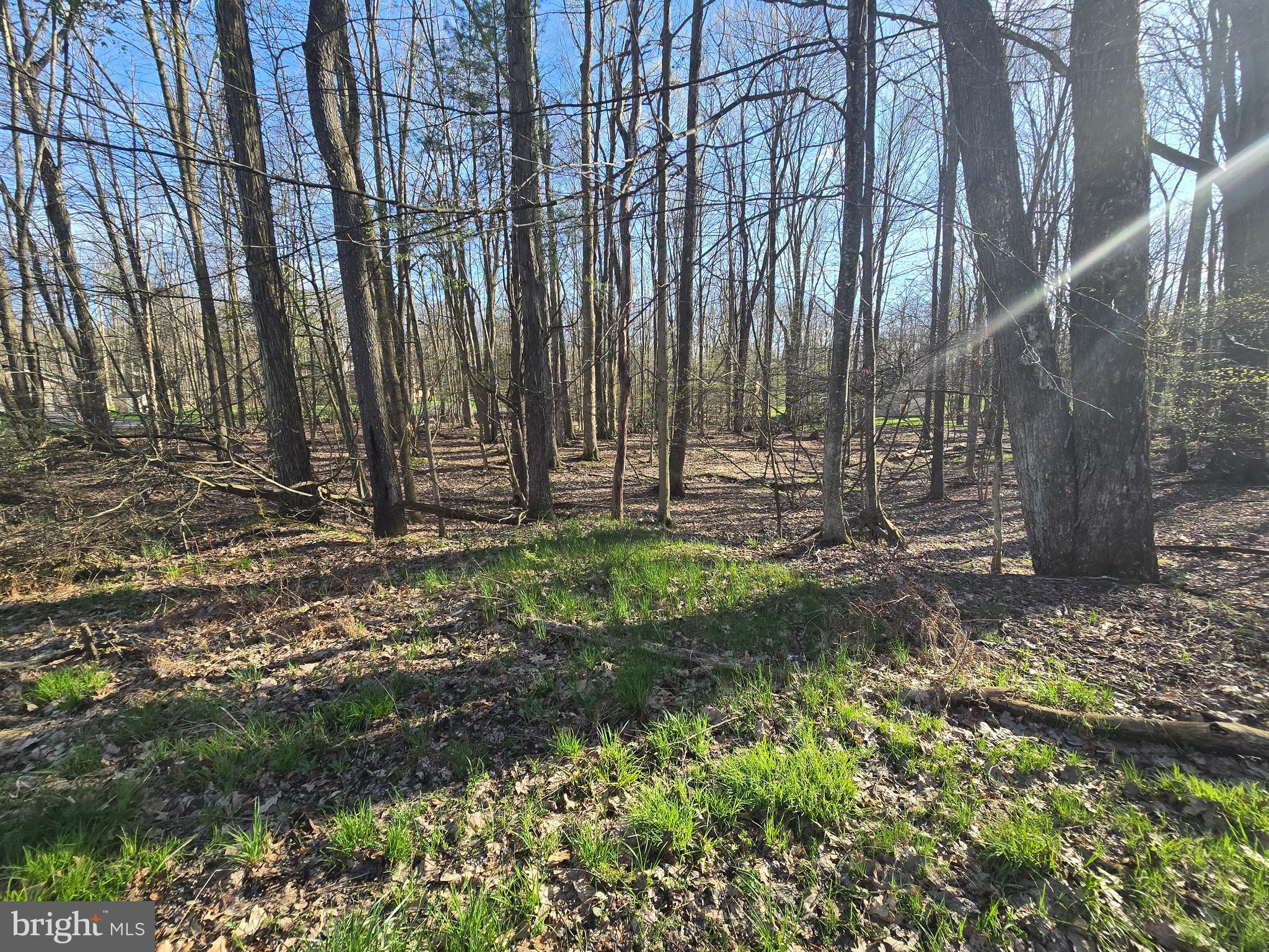 55 Smugglers Road Du Bois, PA 15801 - Photo 2 of 6