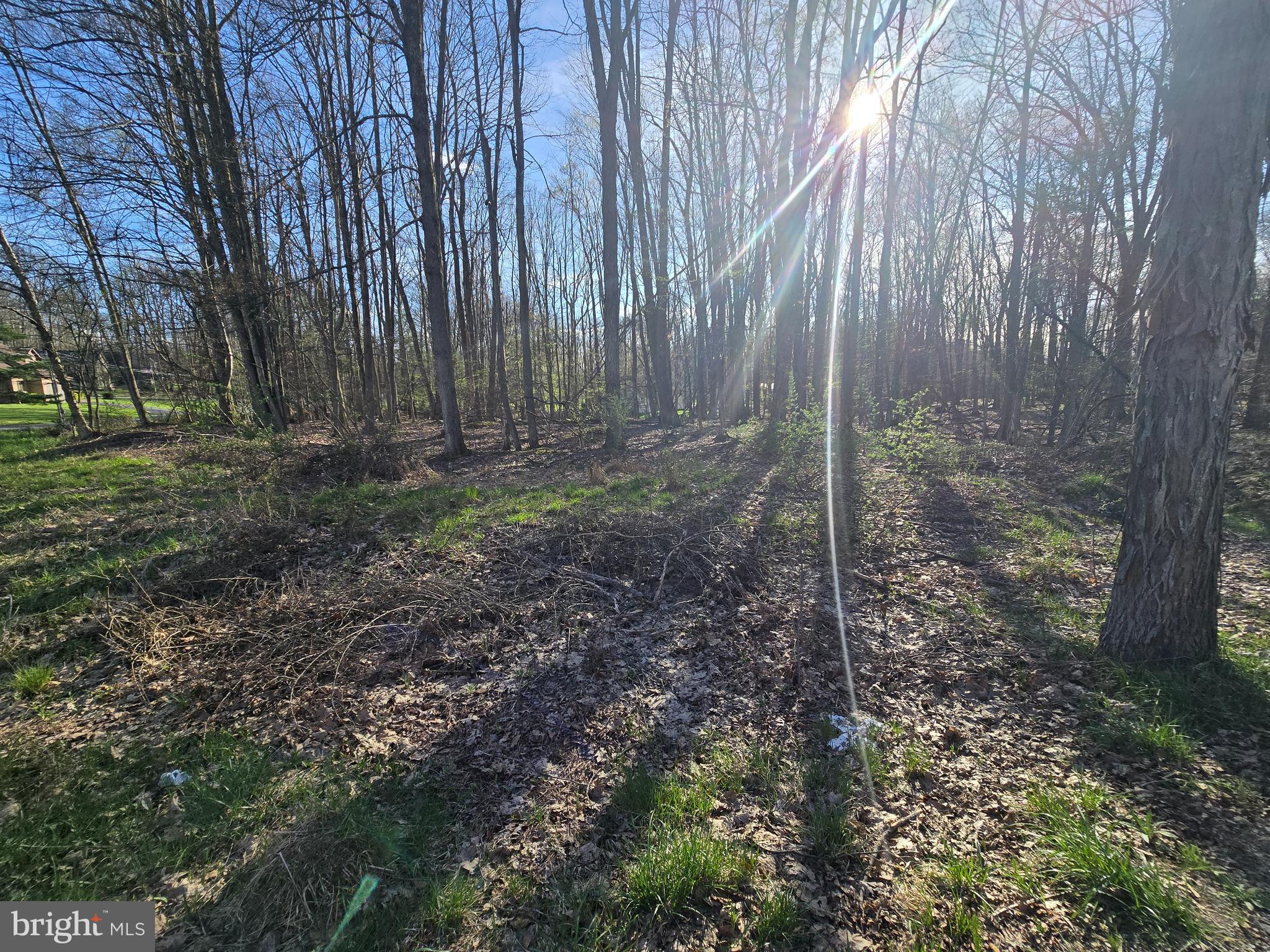55 Smugglers Road Du Bois, PA 15801 - Photo 3 of 6