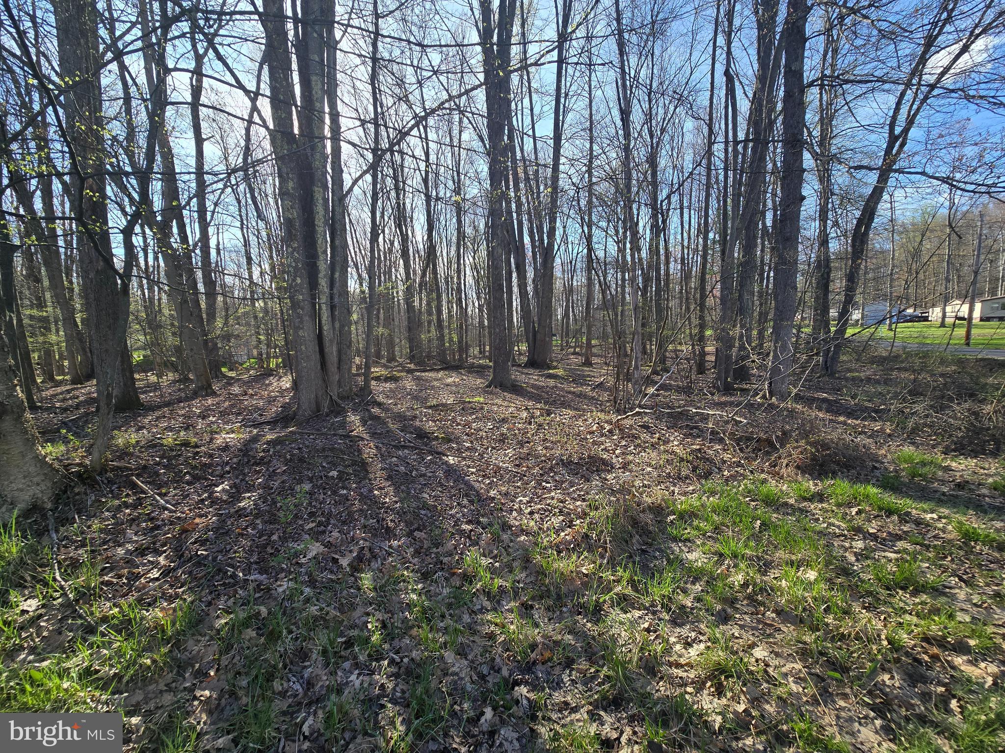 55 Smugglers Road Du Bois, PA 15801 - Photo 6 of 6