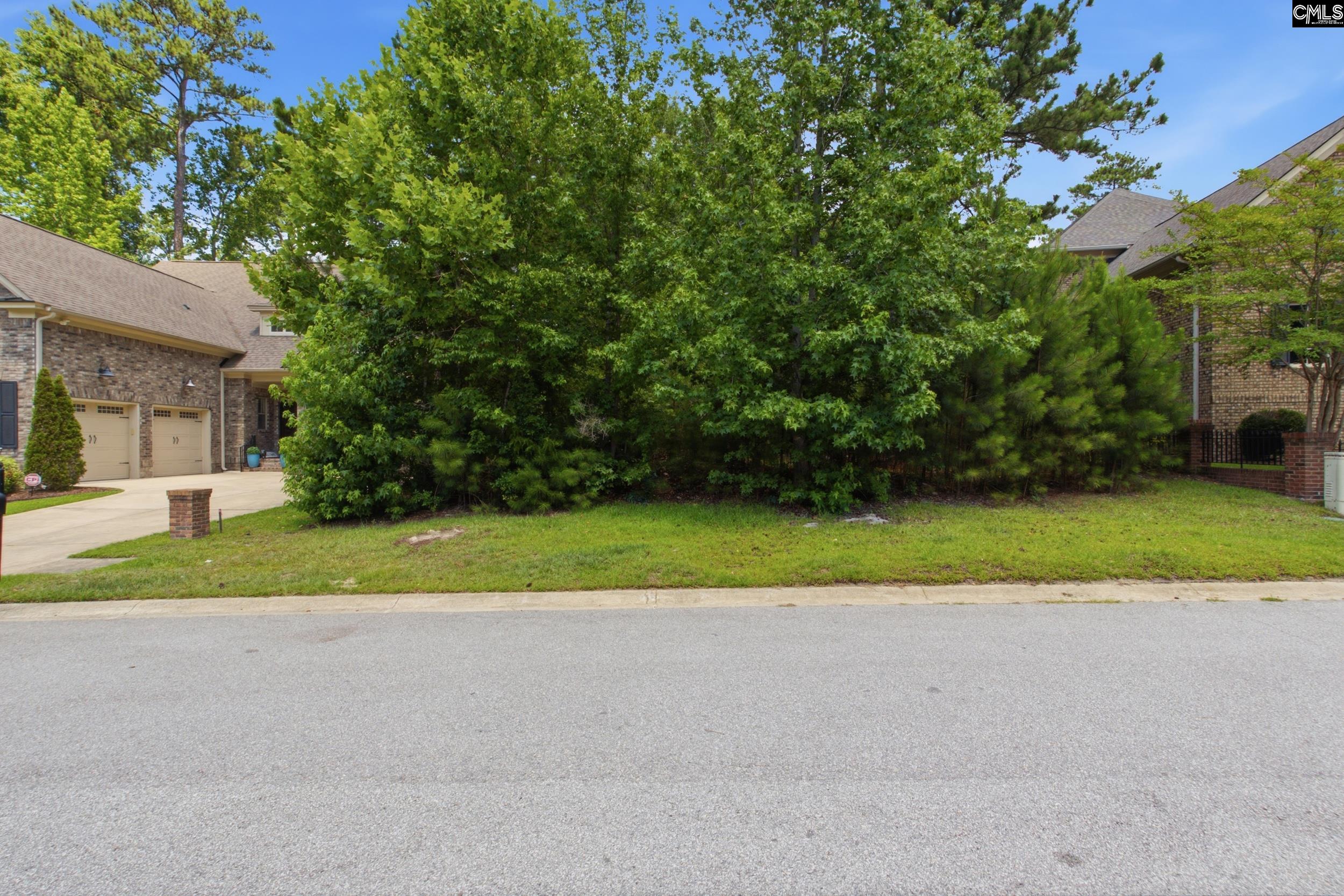 233 Upper Lake Drive Elgin, SC 29045 - Photo 18 of 31 a view of road and green space