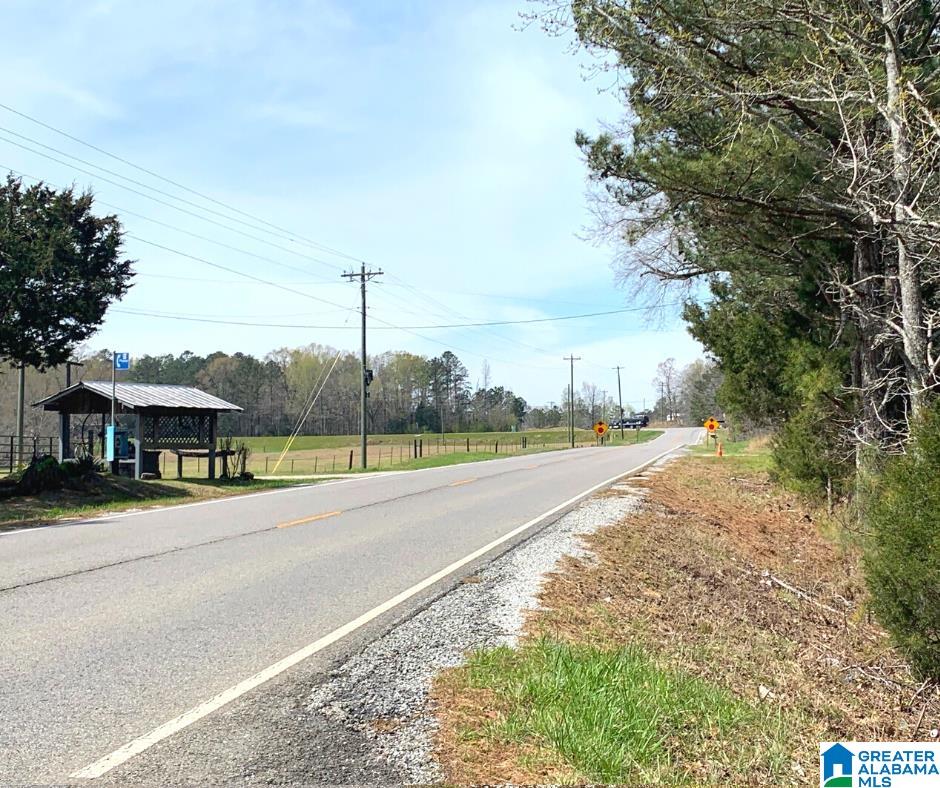 352 Daniel Road, Unit 97 17 ACRES Ohatchee, AL 36271 - Photo 14 of 17