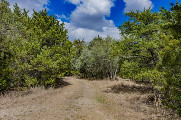 a view of backyard with green space