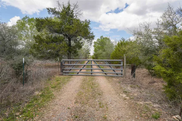 a view of a backyard with plants and large trees