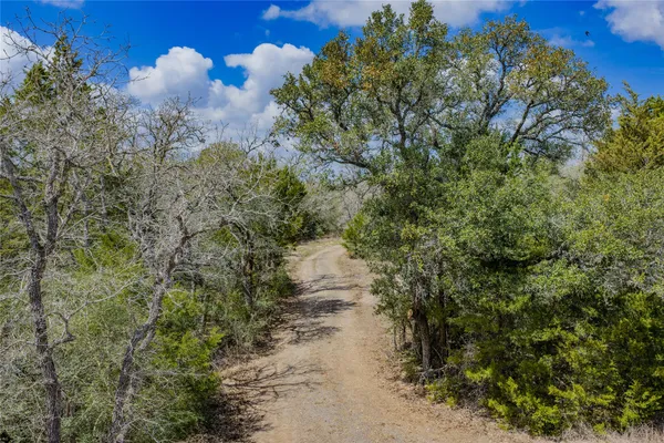 a view of a pathway with a tree