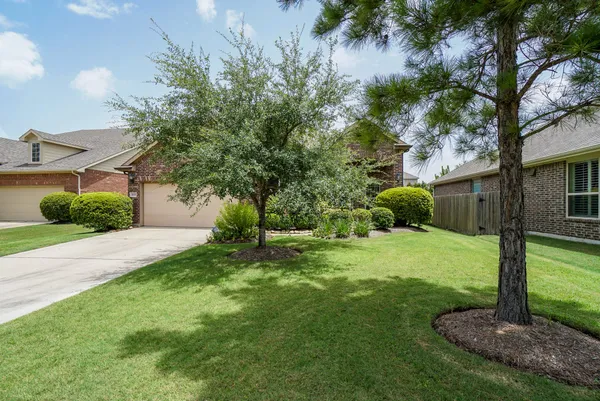 a view of a backyard with a tree