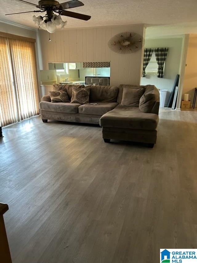 554 Chappell Road Piedmont, AL 36272 - Photo 7 of 17 Gallery Image 7