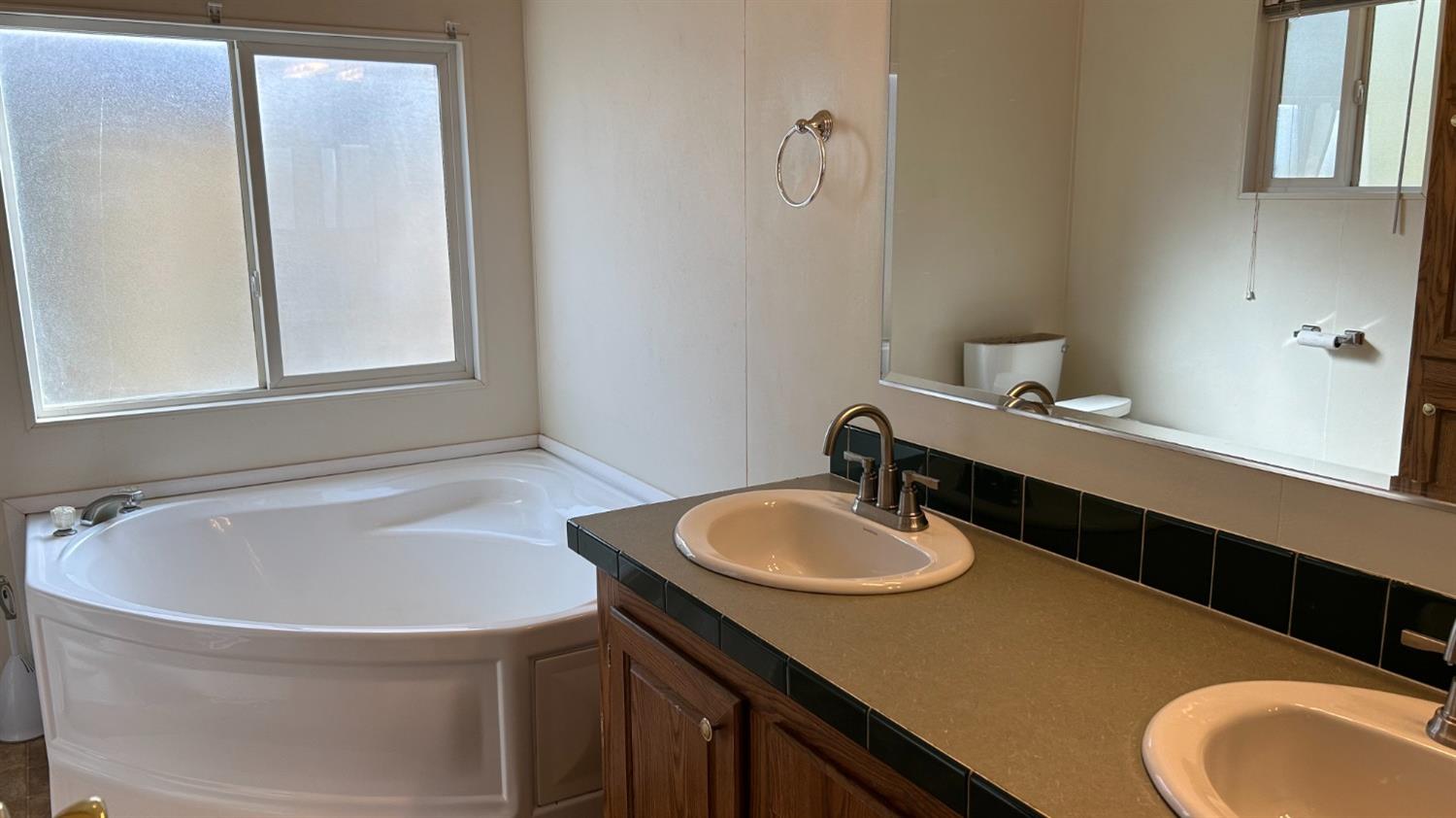 9080 El Dorado Trail Mountain Ranch, CA 95246 - Photo 40 of 48 a bathroom with a sink a toilet and a mirror