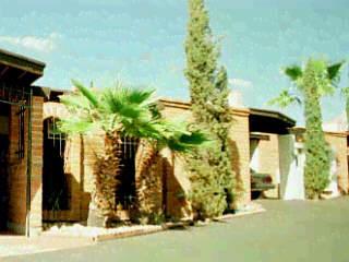 9111 North Oracle Road, Unit 163 Tucson, AZ 85704 - Photo 1 of 1