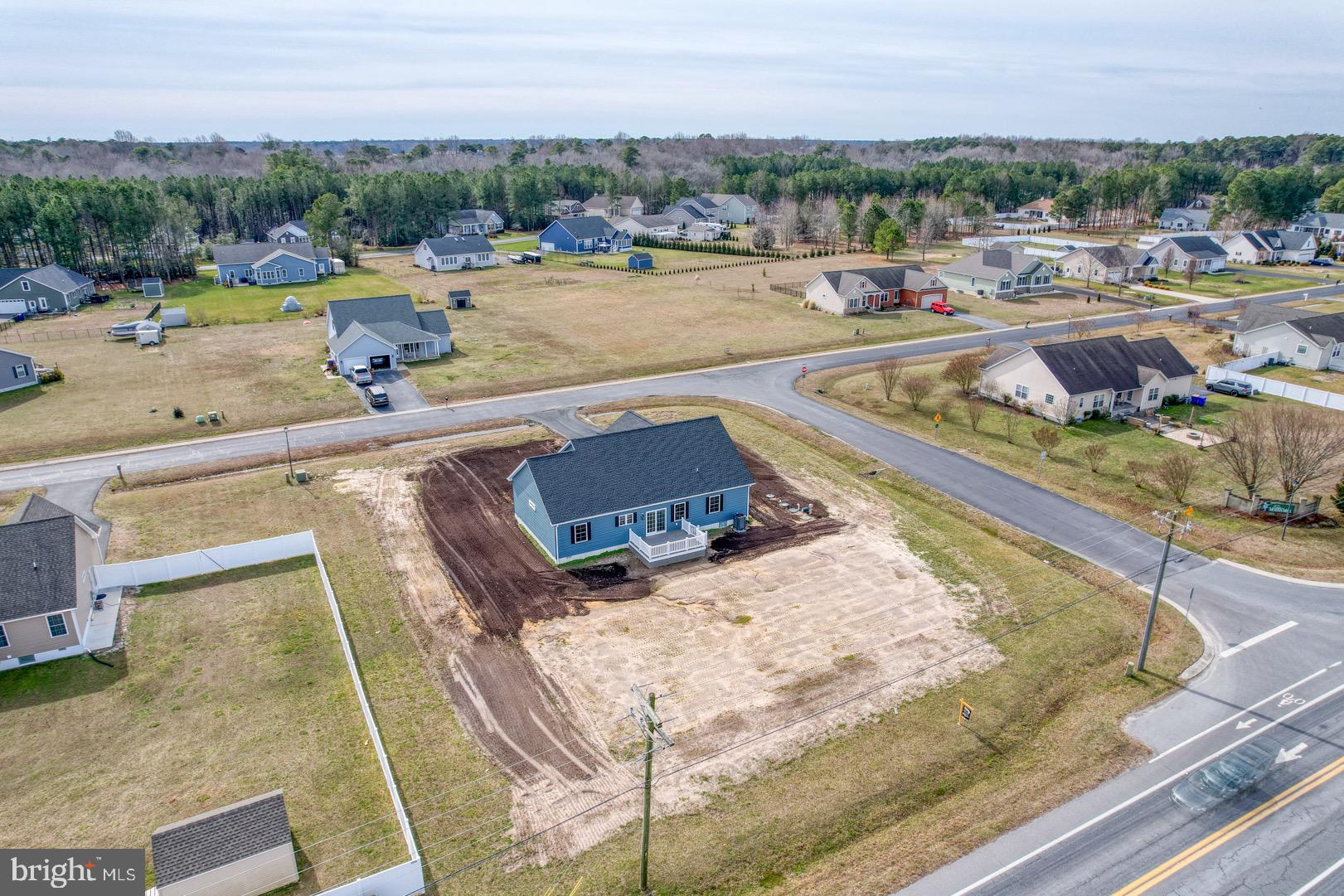 24648 Hollytree Circle Georgetown, DE 19947 - Photo 8 of 34