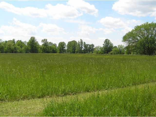 0 Center Village Road Westerville, OH 43082 - Photo 2 of 8