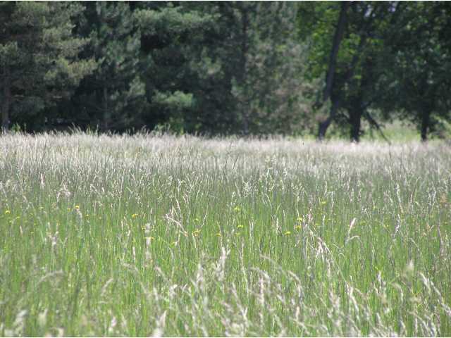 0 Center Village Road Westerville, OH 43082 - Photo 3 of 8