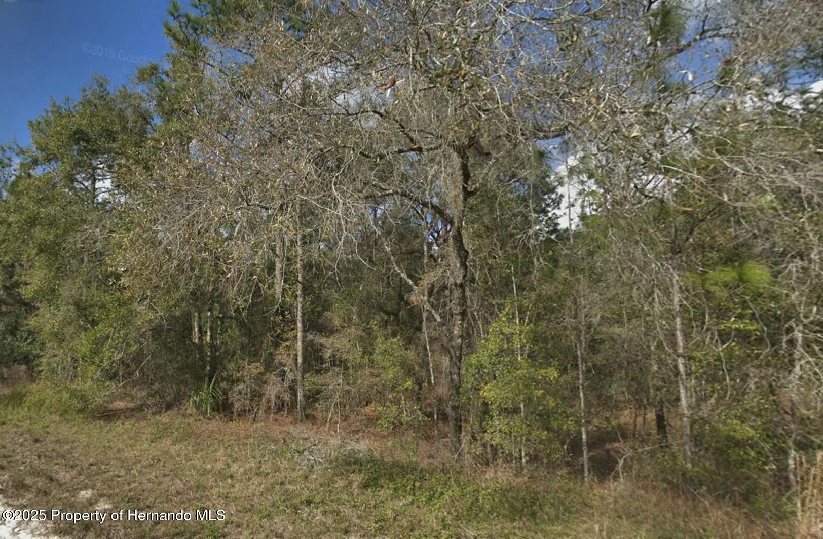 0 Ricebird Weeki Wachee, FL 34614 - Photo 3 of 4