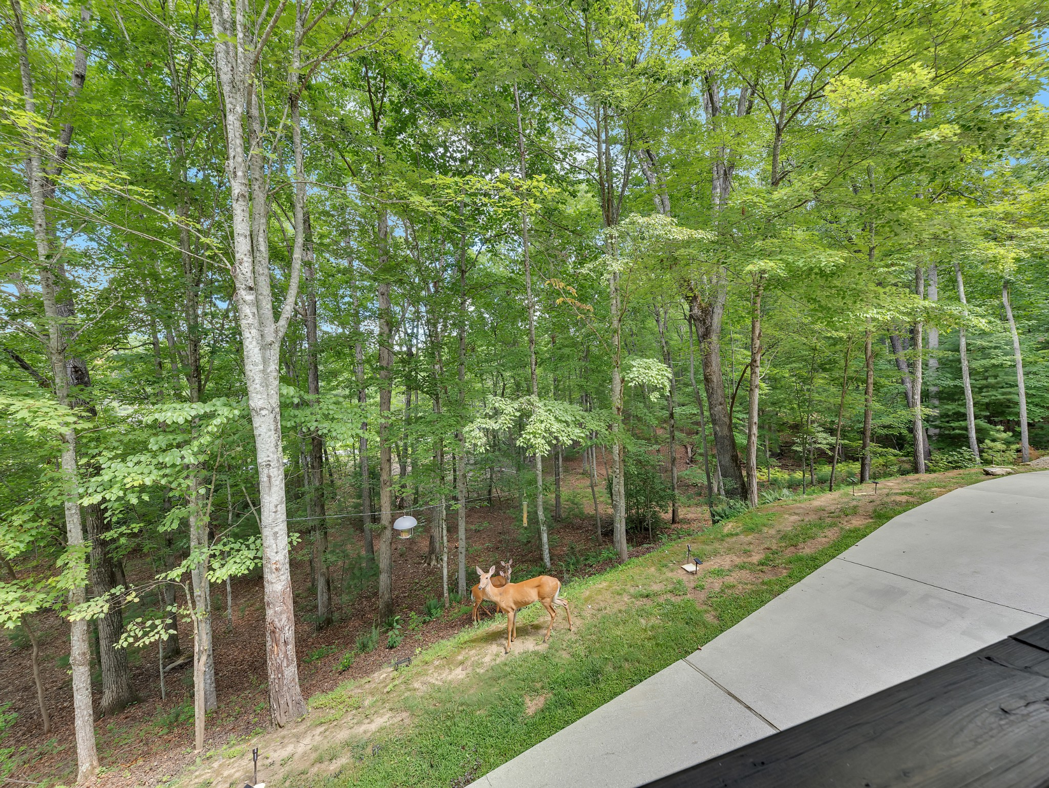 166 Rotherham Drive Crossville, TN 38558 - Photo 41 of 43 Gallery Image 41