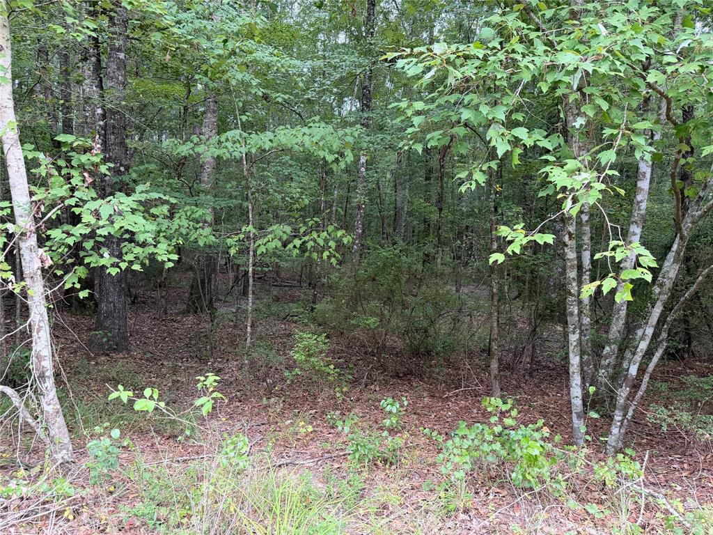 3 Airline Road Dubach, LA 71235 - Photo 2 of 3 Gallery Image 2