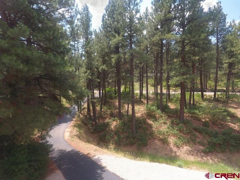 1262 Spring Road Durango, CO 81303 - Photo 5 of 35